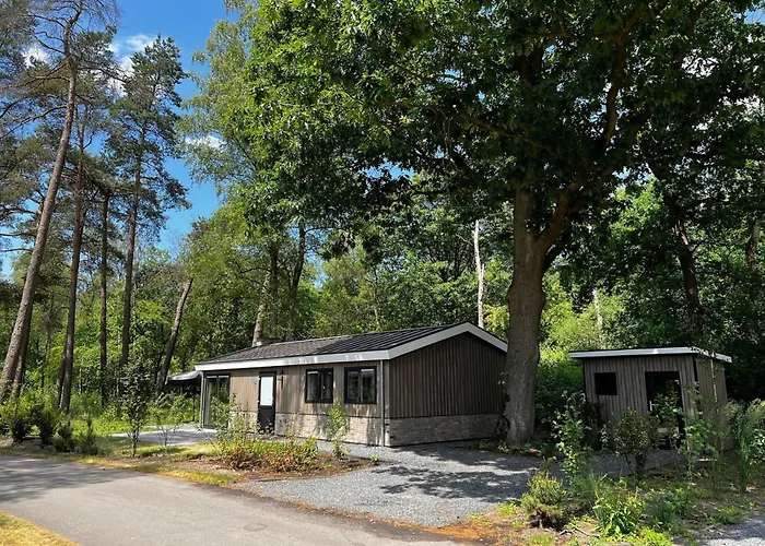 Modern Chalet In A Holiday Park, Bordering The Hoge Veluwe National Park